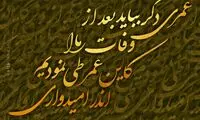 مینی شعر؛ ولی مَحرم نیست...