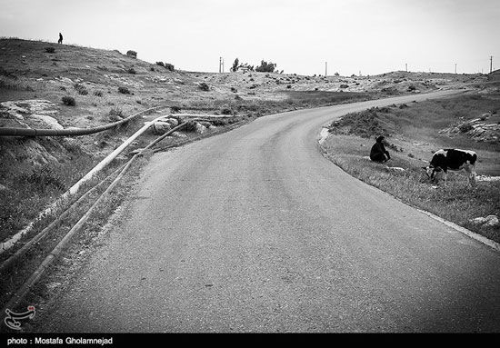 تصاویری از زندگی سخت نفت نشینان