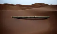 برندگان جایزه مهمترین مسابقه عکاسی چین