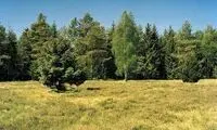 عکاس را در این عکس‌ها پیدا کنید!