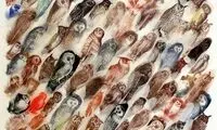 نقاشی های زیبا از پرنده ها روی پر +عکس