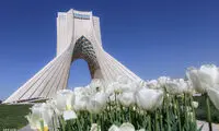 رنگین کمان لاله ها در تهران