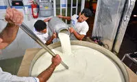 تصاویری از تهیه «تر حلوا» در شیراز