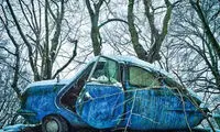 ای دوج صورتی چرا تنها ماندی؟