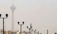 شینا انصاری: آلودگی هوا با شعار رفع نمی‌شود