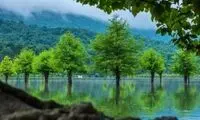 تصویر تلخ از دریاچه زیبای الندان ساری به فاصله 5 ماه