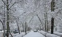 تصاویری جذاب از بارش برف در شمال تهران