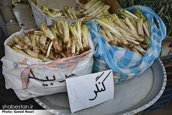 خرید و فروش گیاهان کوهی در ارومیه +عکس