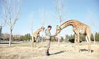 زرافه‌ها و ۹۰۰ جانور نادر در حوالی تهران