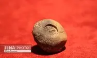 کشف مهر سنگی ساسانی نفیس در یک جلگه