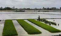 اینجا ایران است (63)