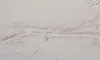 زیبایی خشک و خشن «نامیبیا» +عکس