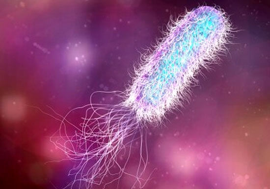 تغییر شکل باکتری برای فرار از درمان‌های دارویی