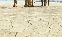 پوستر بین‌المللی The Lion King منتشر شد