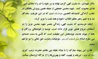 همسر شهید حججی ازدواج کرد؟
