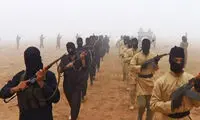 داعش: انتقام حادثه نیوزیلند را می‌گیریم