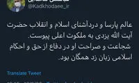 کدخدایی: شجاعت آیت‌الله یزدی زبان‌زد بود