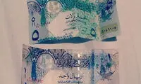 عکس های اینستاگرامی شیوخ قطر