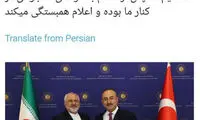 چاووش اوغلو، ظریف را برادر خطاب کرد