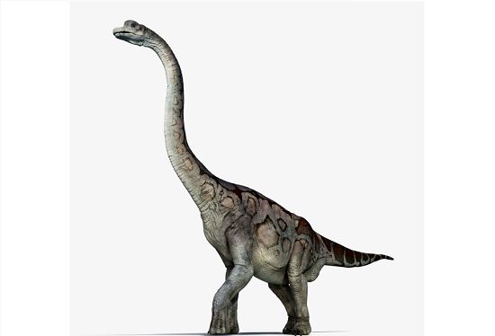 کشف گونه‌ای جدید از یک دایناسورِ گردن‌ دراز