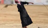 جشنواره پرندگان شکاری در امارات +عکس