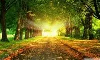 فواید نور طبیعی به روی بدن
