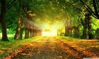 فواید نور طبیعی به روی بدن