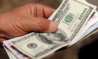 جزئیات پرداخت ۲۴ میلیارد دلار ارز دولتی به واردات
