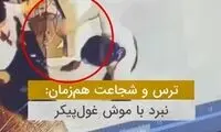 دختر جوان، موش غول‌پیکر را با پاهایش گرفت!
