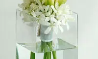 دوست داری در خانه گلدان داشته باشی؟