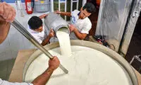 عکس: پخت شیرینی سنتی «تر حلوا»