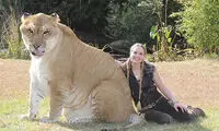 18 جاندار دورگه عجیب و غریب +عکس