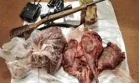 کشف لاشه یک راس بُز وحشی در کوه گل دنا