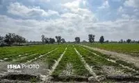 دو تصویر تأمل برانگیز از چرایی خشکسالی در ایران