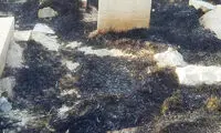 قبرستان تاریخی شیراز طعمه حریق شد