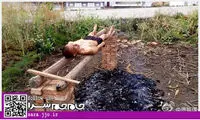 درمان سرطان به شیوه کباب‌پز! +عکس