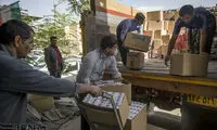 امحاء 6 میلیون نخ سیگار و تنباکو قاچاق