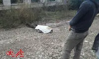 قتل بی رحمانه دختر جوان در نوشهر +عکس