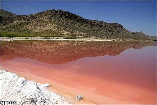 دریاچه مهارلوی شیراز قرمز شد! +عکس