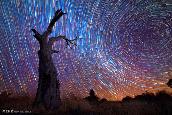 تصاویر زیبای فیری تریلز از ستارگان