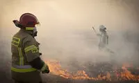 حریق گسترده در بزرگ‌ترین پارک ملی لهستان