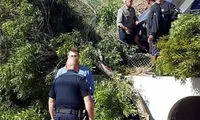 جوانمردی «هریسون فورد» در یک حادثه خیابانی