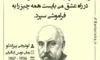 هایلایت (310)