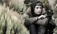 «نگار» بیشتر از فیلم‌های مدیری و میری مخاطب دارد