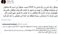 افزایش تحرکات برای رد FATF در مجمع