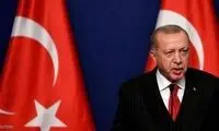 تیشه اردوغان به ریشه لیر!