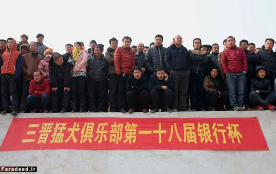 نبرد خونین سگ‌ها در جیشانِ چین +عکس