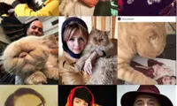 روزنامه جوان: مجرد‌های سینما سگ باز شده‌اند!