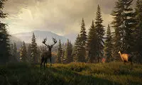 بازی Call of the Wild؛ به دور از وحشی‌بازی