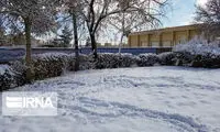 تصاویر زیبای بارش برف در بردسیر